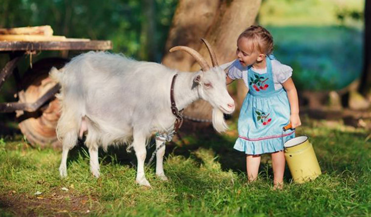Avantajele laptelui de capră pentru copii