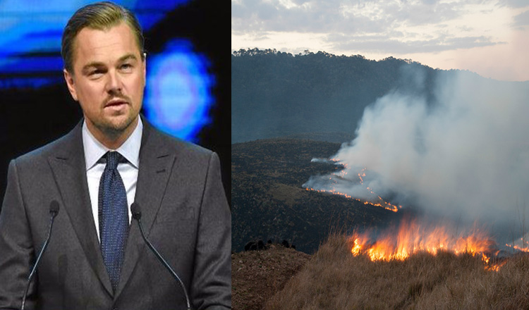 Leonardo DiCaprio a donat 5 milioane de dolari pentru salvarea pădurii amazoniene