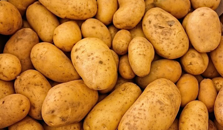Au apărut primii cartofi noi românești. Prețurile ajung la 30 de lei pe kilogram
