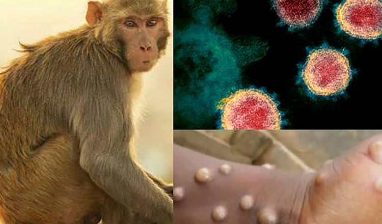 Ce este Variola Maimutei, virusul care poate incepe o noua pandemie. Cum se ia si ce simptome da